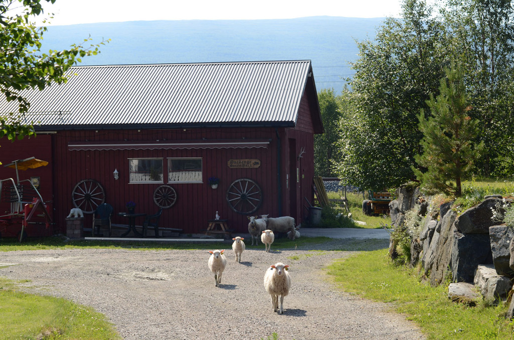 norske zemedelstvi