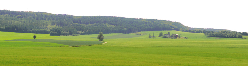 norsko jako-v-provence