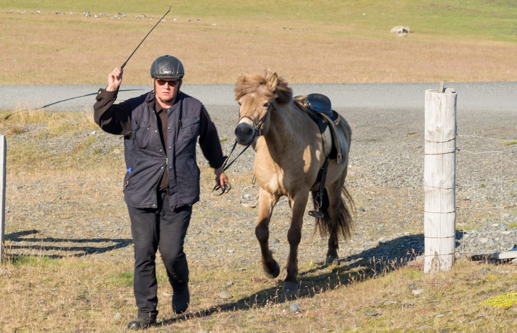 horse-hunter-iceland