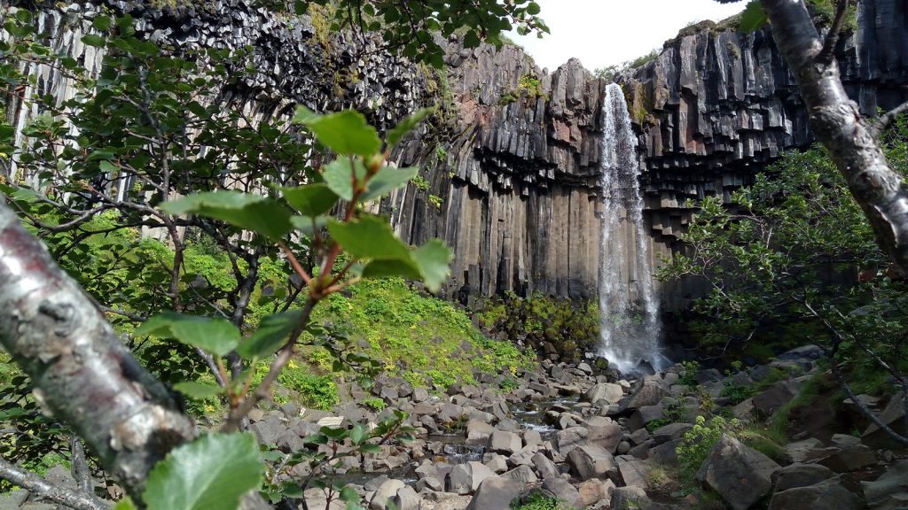 svartifoss-Iceland-sneak-a-peak