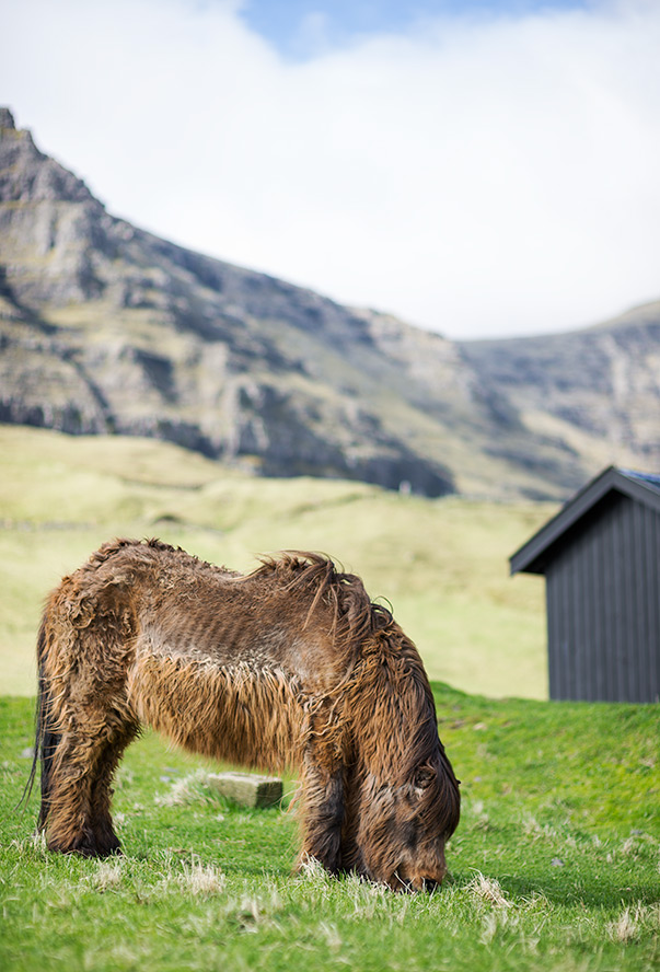 Gasadalur - Faroe Islands