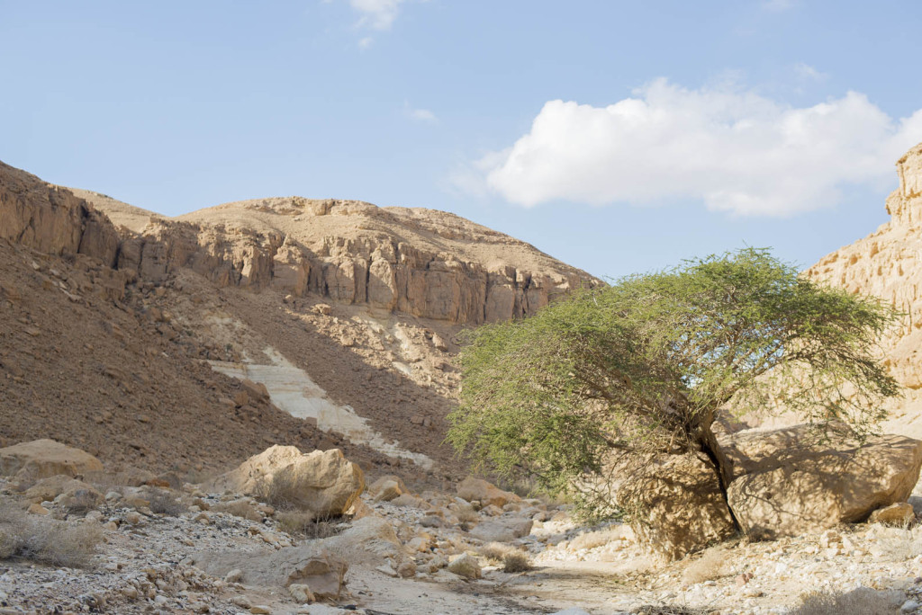 trek negevskou pousti v izraeli