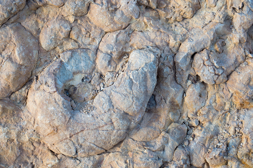 ammonite wall negevska poust izrael