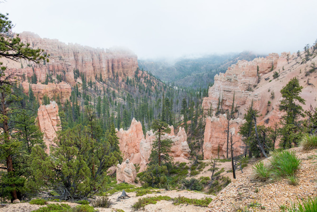 Bryce canyon ponořený v mlze