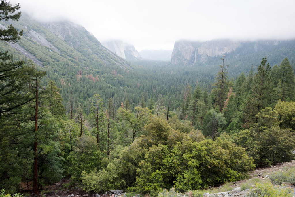 výhled na Yosemitský NP od Tunelu