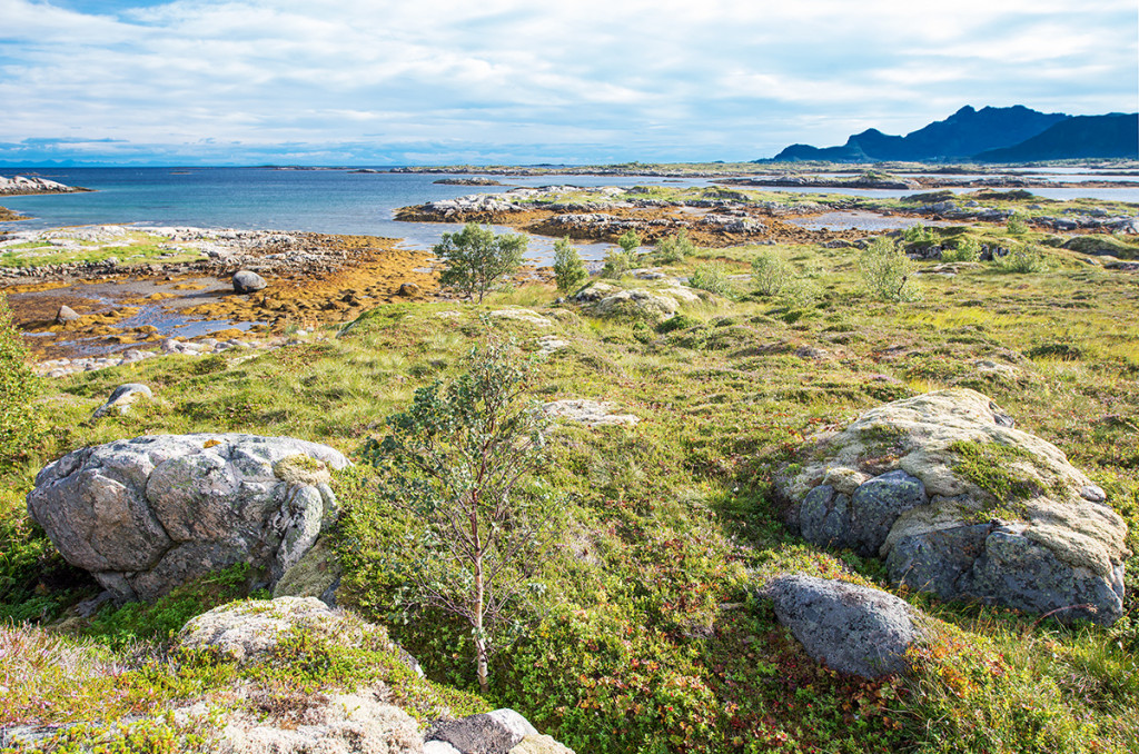 okolí městečka Valberg, Vestvågøya, Norsko