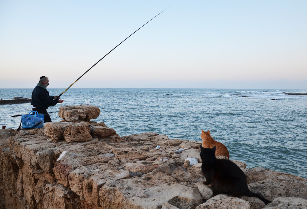 rybář a kočičí čekající, Caesarea, Izrael