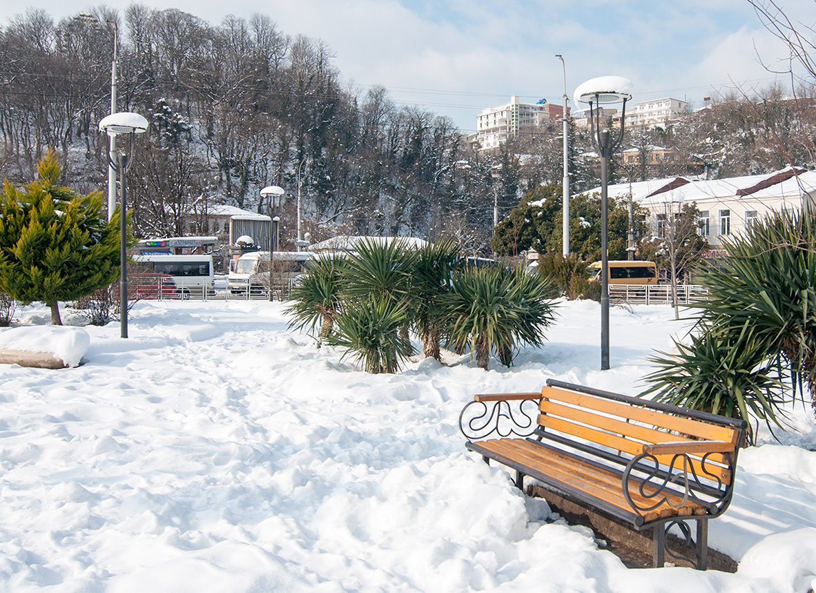 Gruzínský park s palmama pod sněhem